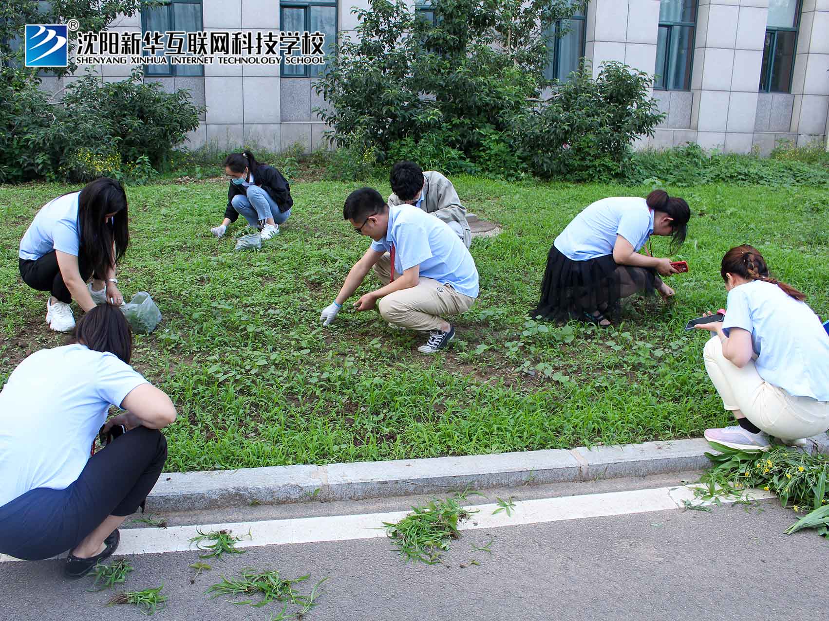 校园除草大作战