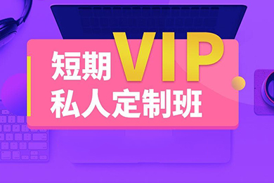 VIP精品短期私人定制班